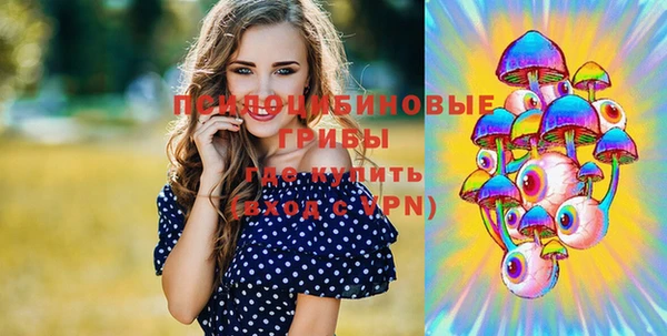 a pvp Корсаков