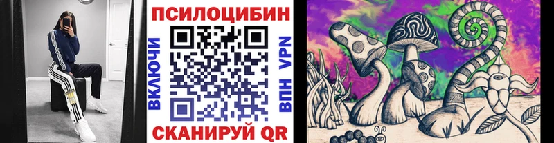 Купить где Питкяранта Галлюциногенные грибы GOLDEN TEACHER