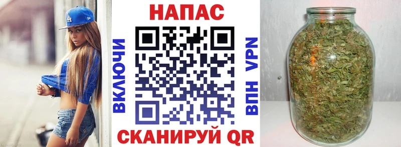 Купить  Питкяранта  Шишки марихуана конопля 